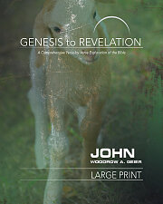 Genesis to Revelation: John Participant Book