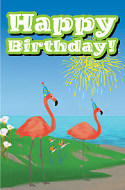 Bible Story Basics Happy Birthday Postcard (Pkg of 25)