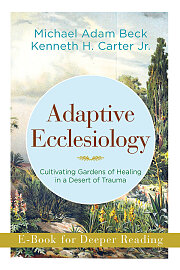 Adaptive Ecclesiology - eBook [ePub]